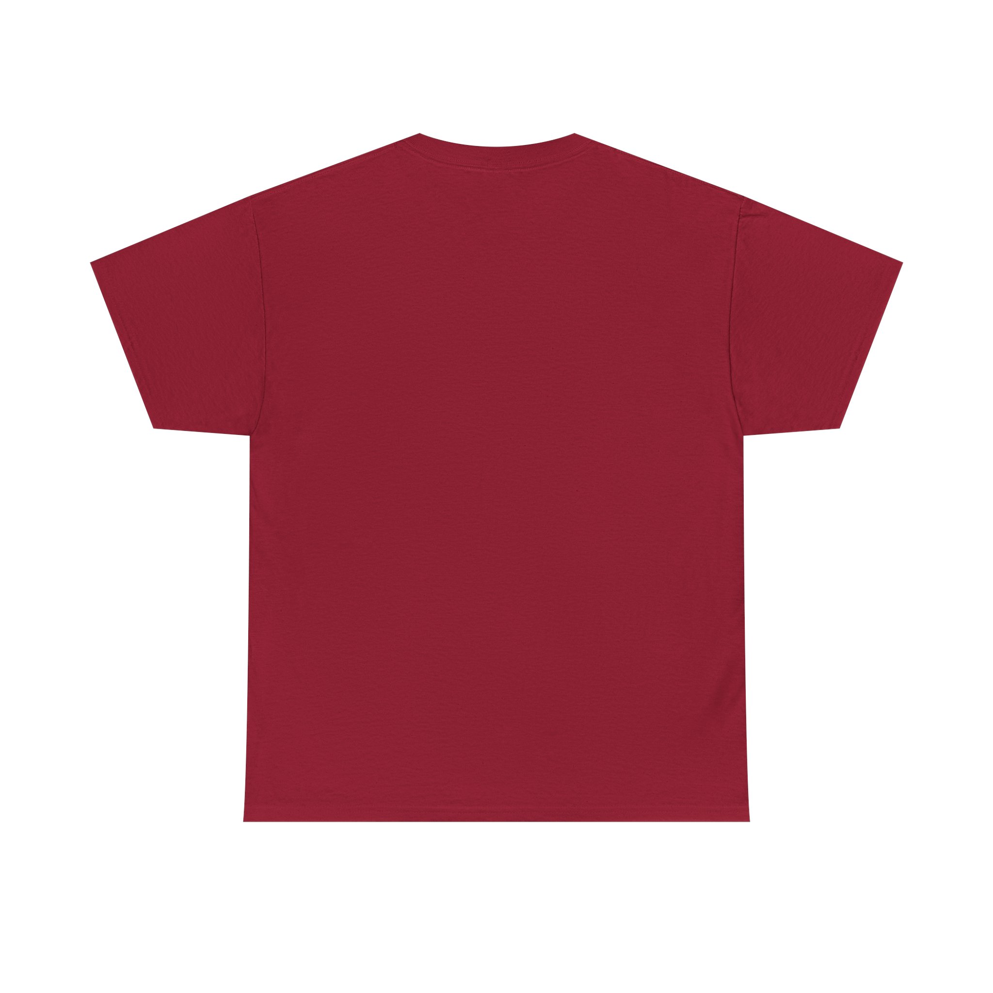 Weather Guy Science T-Shirt - Front Print Only - Image 71