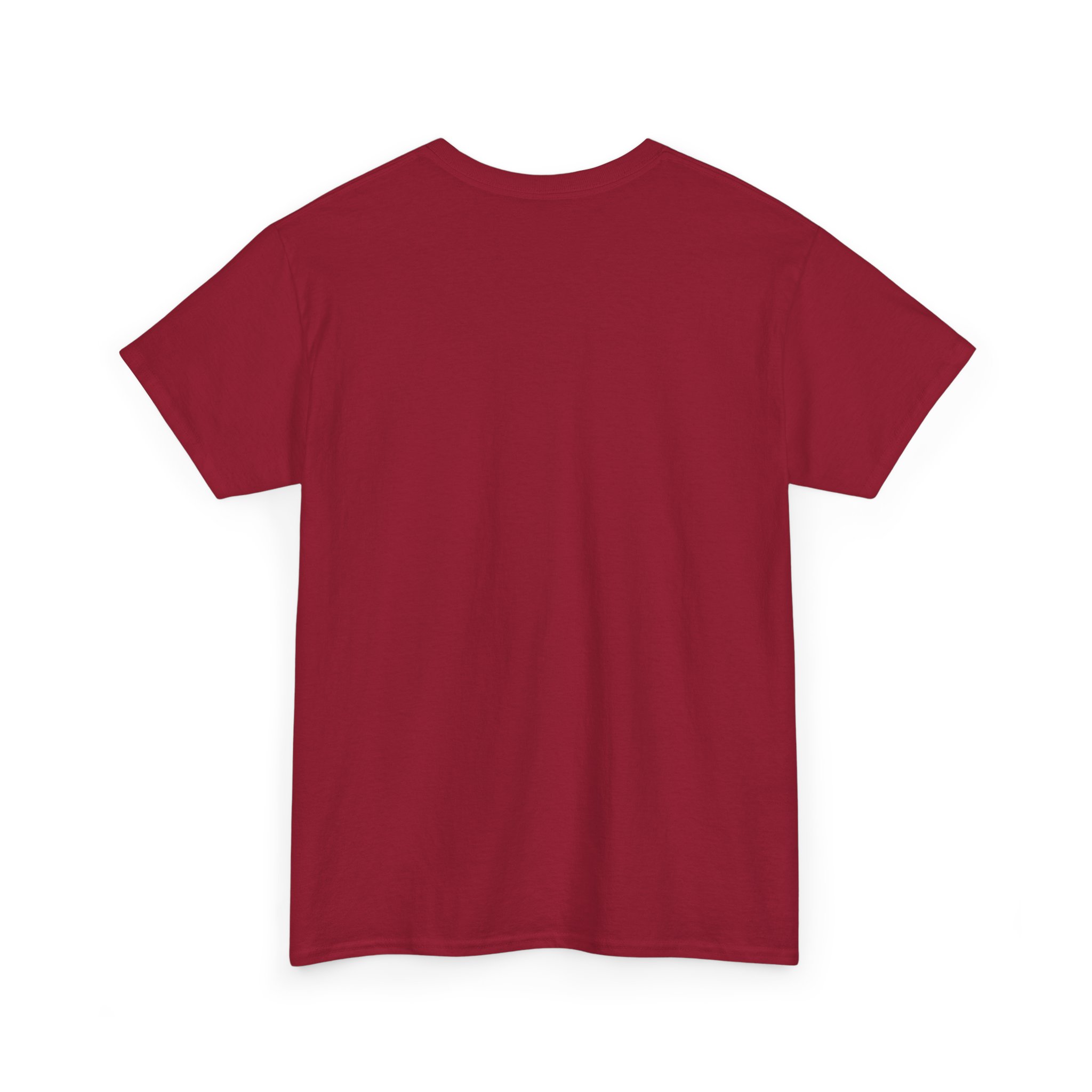 Weather Guy Science T-Shirt - Front Print Only - Image 73